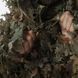 МАСКУВАЛЬНИЙ КОСТЮМ GHILLIE  PRO | V15 ТЕМНИЙ ЛIС+СУХИЙ ЛIС Ghillie_Pro_Temniy_lis+Suhiy_lis фото 11
